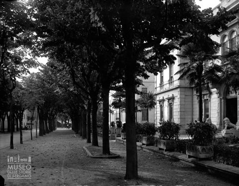 Viale alberato e municipio