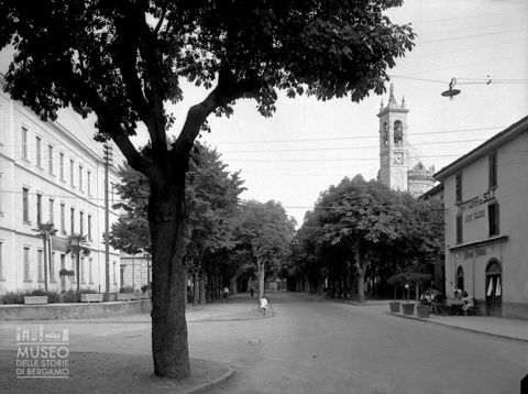 Viale alberato e campanile