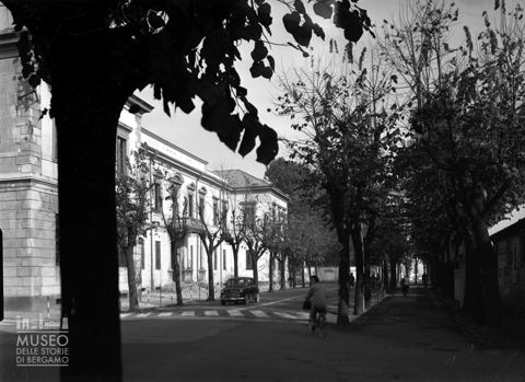 Scuole elementari e viale alberato