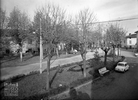 Viale alberato