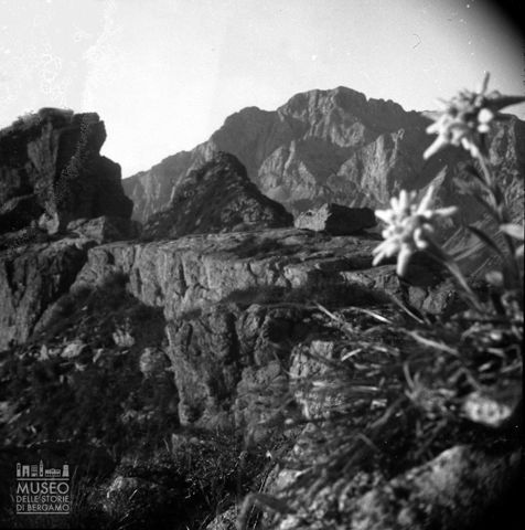 Veduta del Pizzo Arera