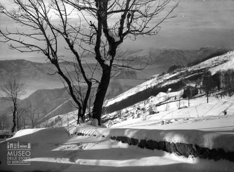 Panorama da un vigneto