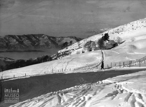 Donna in un campo innevato