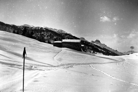 Campi innevati e baita