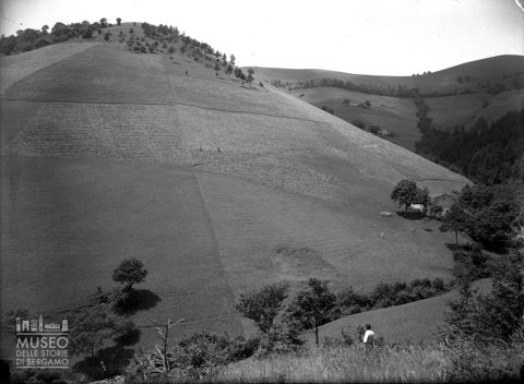 Colle con campi