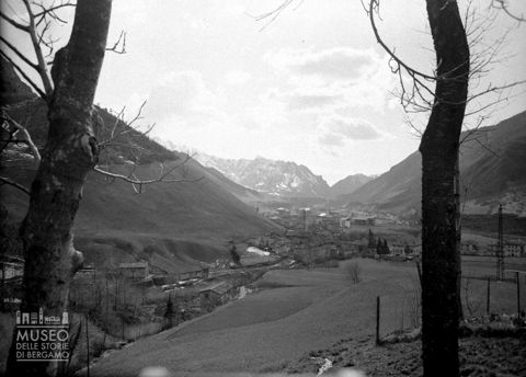 Panorama con alberi